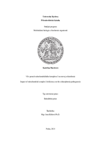 Document thumbnail