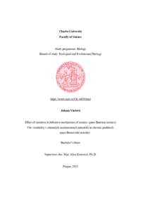 Document thumbnail