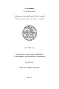 Document thumbnail