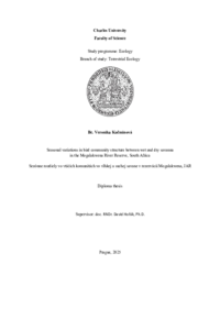 Document thumbnail