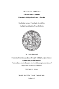 Náhled dokumentu