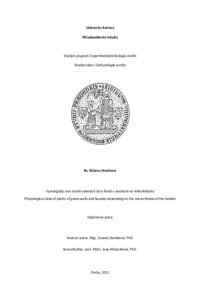 Document thumbnail