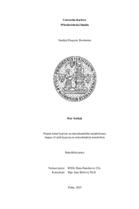 Document thumbnail