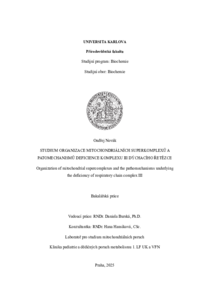 Document thumbnail