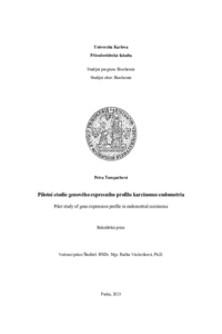 Document thumbnail