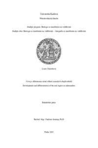 Document thumbnail