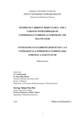 Document thumbnail