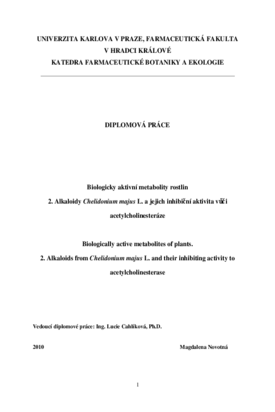 Document thumbnail