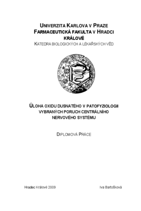 Náhled dokumentu