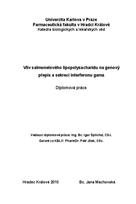Document thumbnail