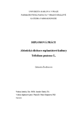 Document thumbnail
