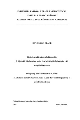 Document thumbnail
