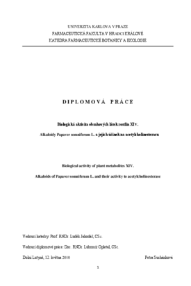 Document thumbnail