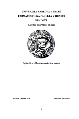 Náhled dokumentu