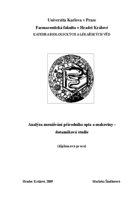 Náhled dokumentu