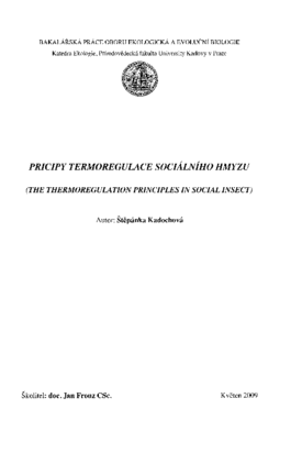 Document thumbnail