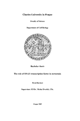 Document thumbnail