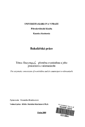 Document thumbnail