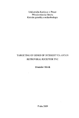 Document thumbnail