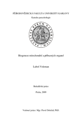 Document thumbnail