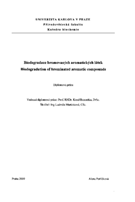Document thumbnail