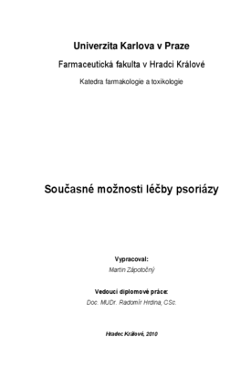 Náhled dokumentu