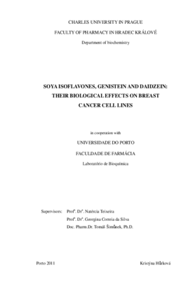 Document thumbnail