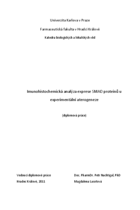 Document thumbnail