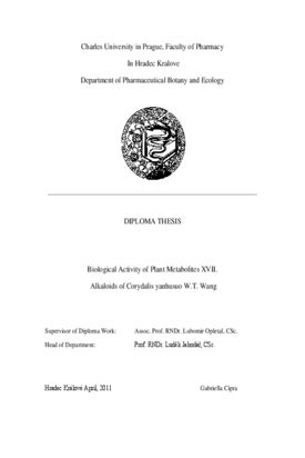 Document thumbnail
