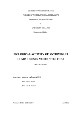Document thumbnail