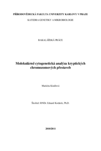 Náhled dokumentu