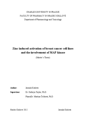 Document thumbnail