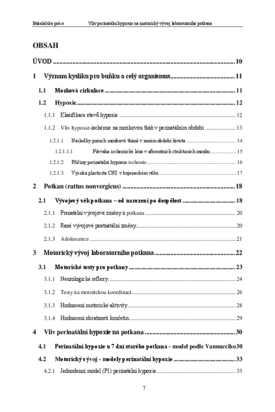 Document thumbnail