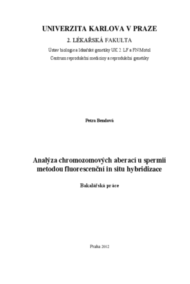 Document thumbnail