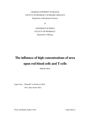 Document thumbnail