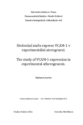 Document thumbnail