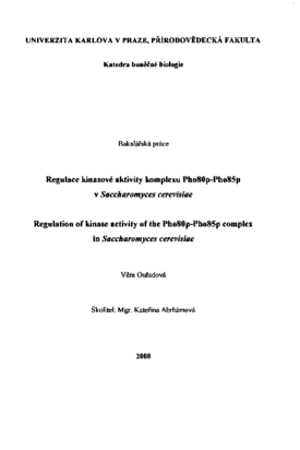 Document thumbnail