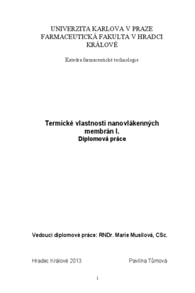 Náhled dokumentu