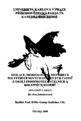 Document thumbnail