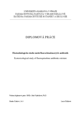Document thumbnail