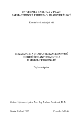 Náhled dokumentu
