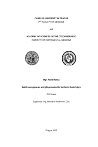 Document thumbnail