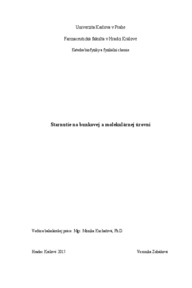 Document thumbnail
