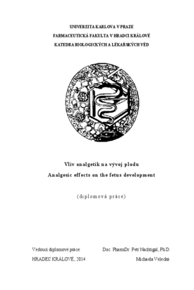 Document thumbnail