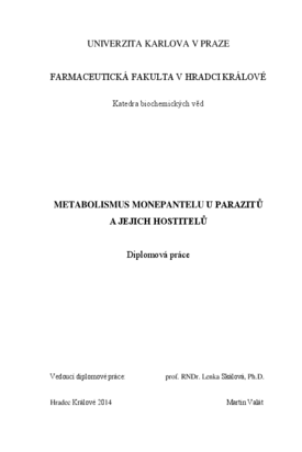 Document thumbnail