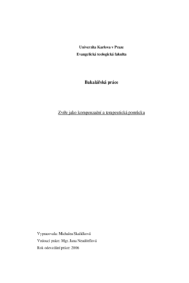 Náhled dokumentu