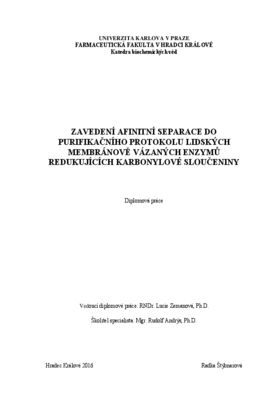 Document thumbnail