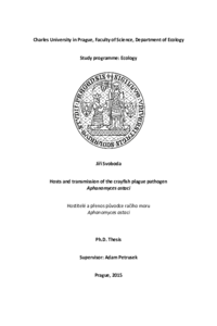 Document thumbnail