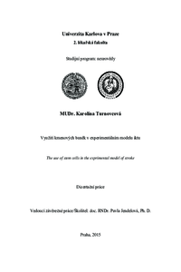 Document thumbnail