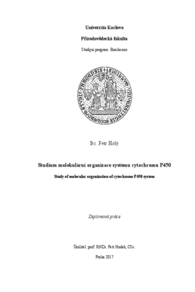 Document thumbnail